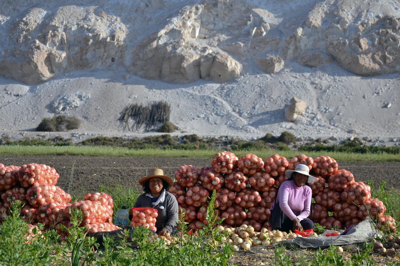 Ministras Undurraga Y Zalaquett Invitan A Las Mujeres Agricultoras Y De