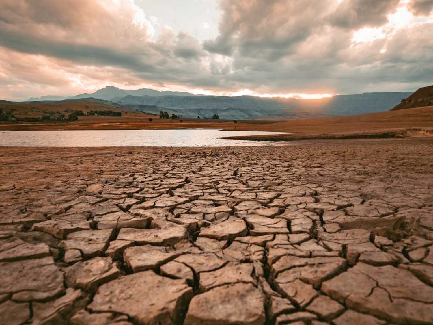 Acciones Contra La Desertificaci N Y Sequ A