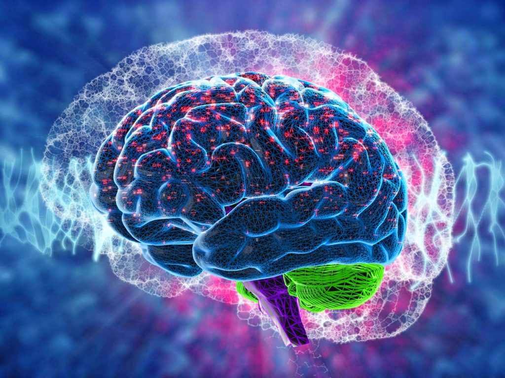 Neurociencia Potencial De Entender El Cerebro Para Aportar Al Bienestar