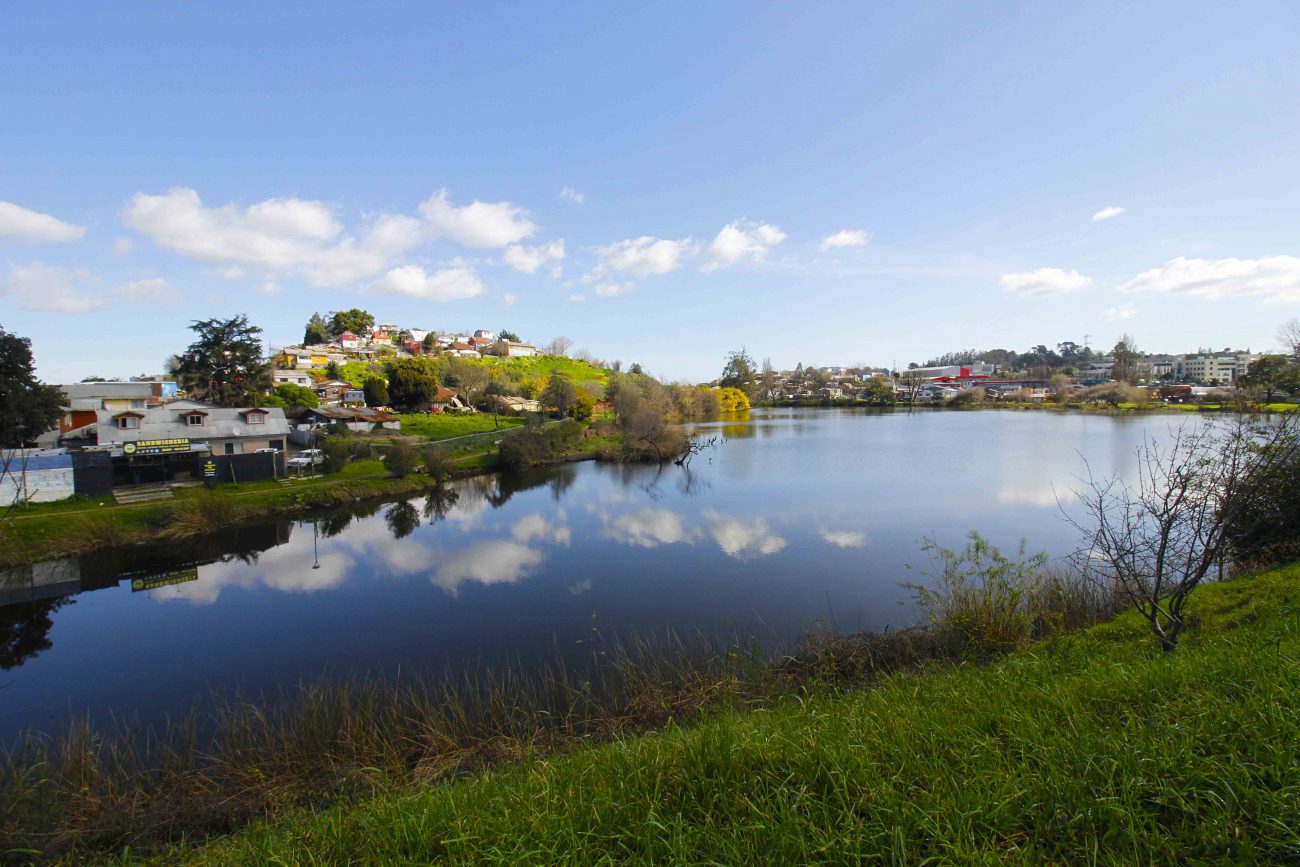 Laguna Lo Mendez Espejo Vivo De Barrio Norte