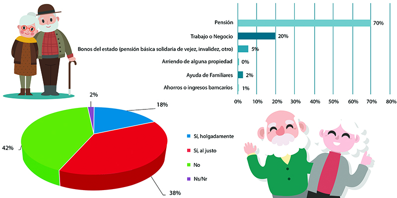 Adultos Mayores En Concepción: Un 42% Reconoce Que Ingreso No Cubre Sus ...