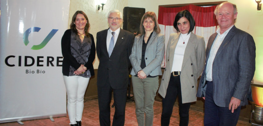 MentorINN, La red de mentores de Cidere Biobío