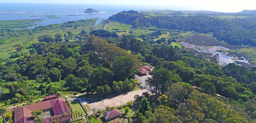 Parque Pedro del Río Zañartu tendrá nuevo rostro