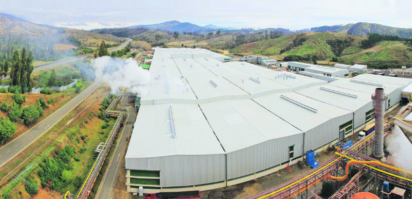 Pescadores artesanales pierden demanda contra Arauco Nueva Aldea