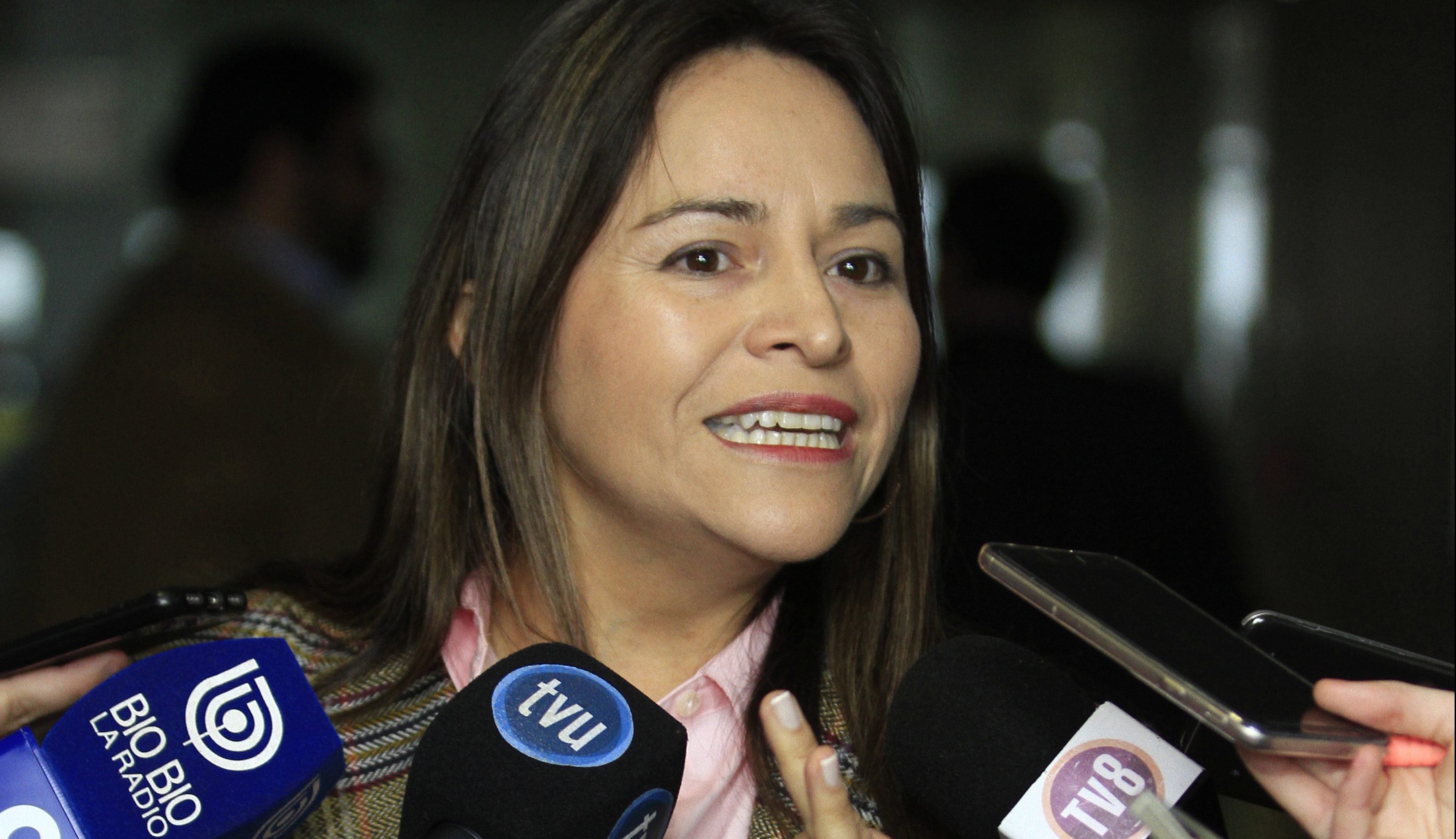 Joanna Pérez tras rechazo a voto obligatorio: "Gobierno ...