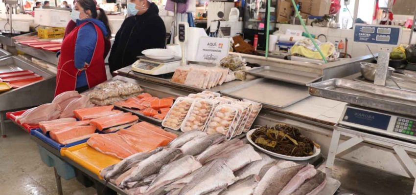 Talcahuano refuerza medidas de higiene en el mercado de pescados y mariscos  promoviendo así mejores ventas