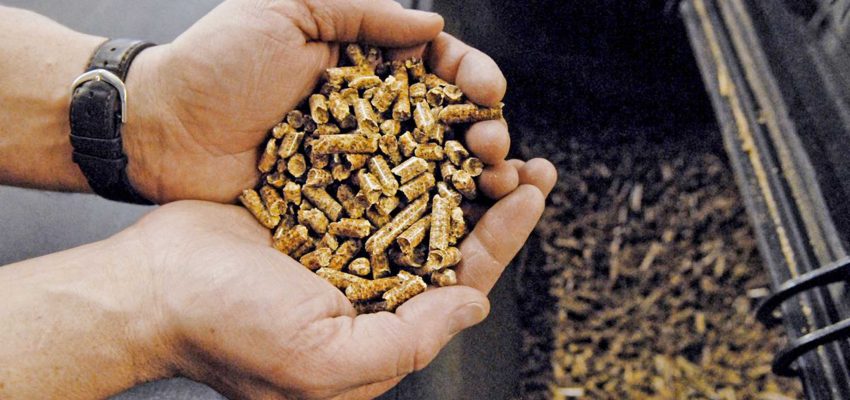 Precio promedio pellets para estufas llega $3.936 en Biobío