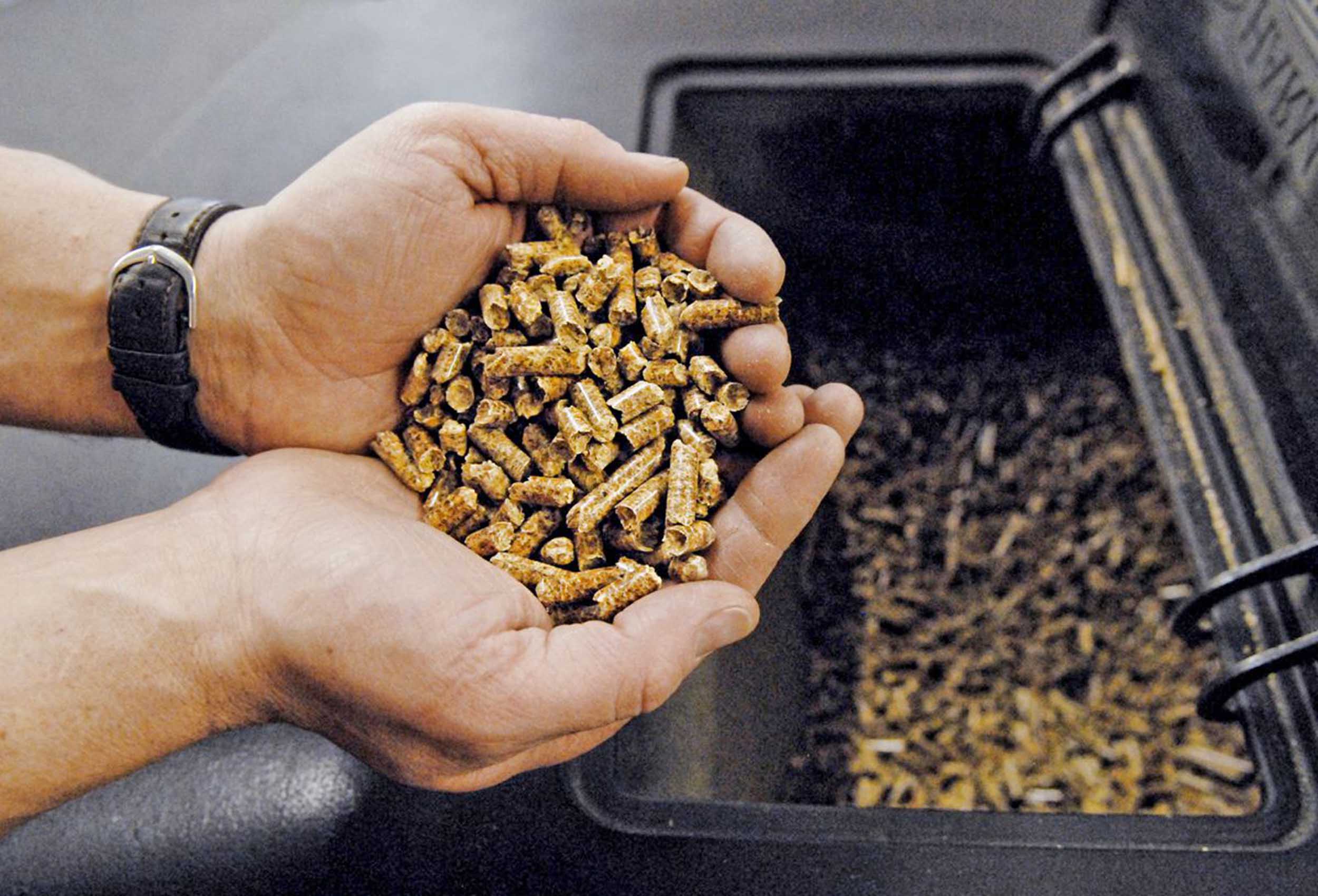 Precio promedio de pellets para estufas llega a 3.936 en Biobío