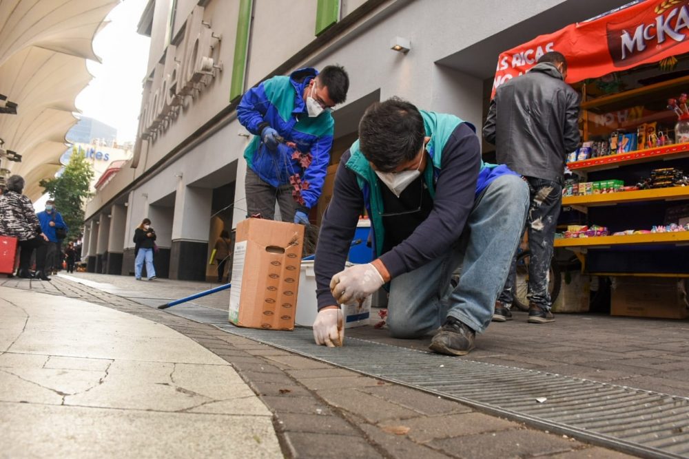 Municipalidad inicia plan de control de roedores en el centro de Concepción