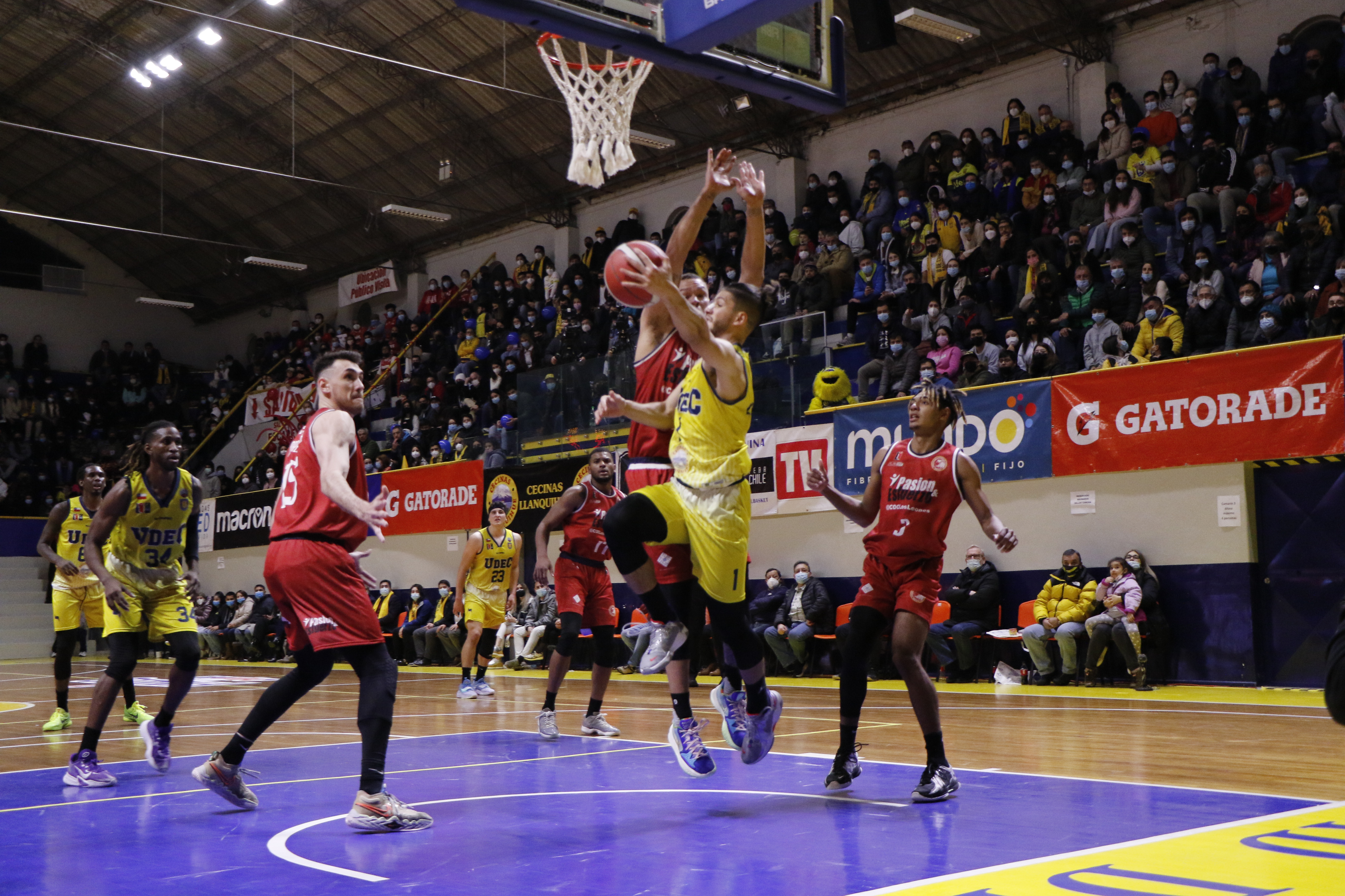 A un paso del título! Basket UdeC gana infartante partido 5 y queda arriba  en la final