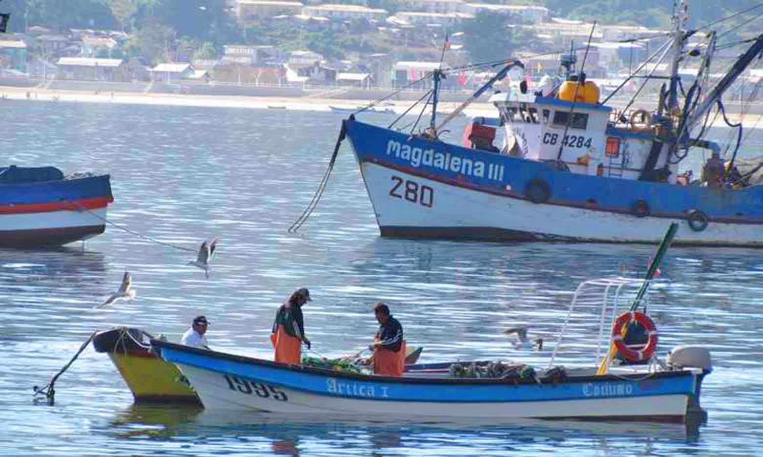 Diálogos Para Nueva Ley De Pesca Comienzan El 20 De Septiembre En Isla Santa María 7754