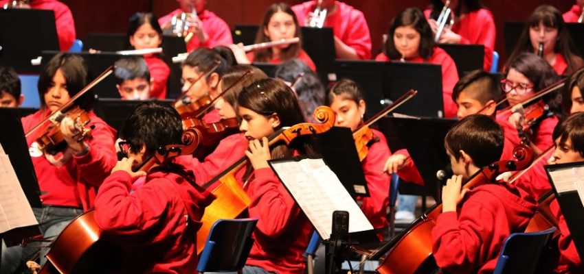 Ropa niño online orchestra