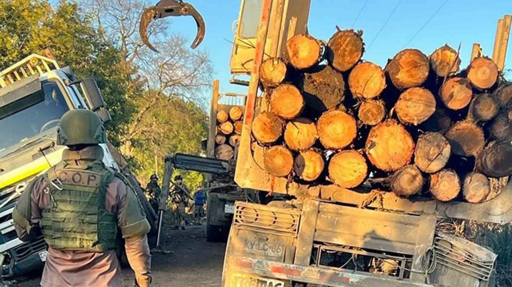 Cae Banda Dedicada Al Robo De Madera En Biobío Y La Araucanía