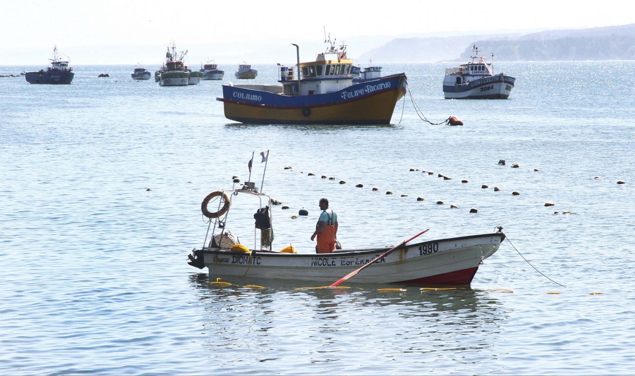 Nueva Ley De Pesca Artesanales E Industriales Piden Reconocimiento