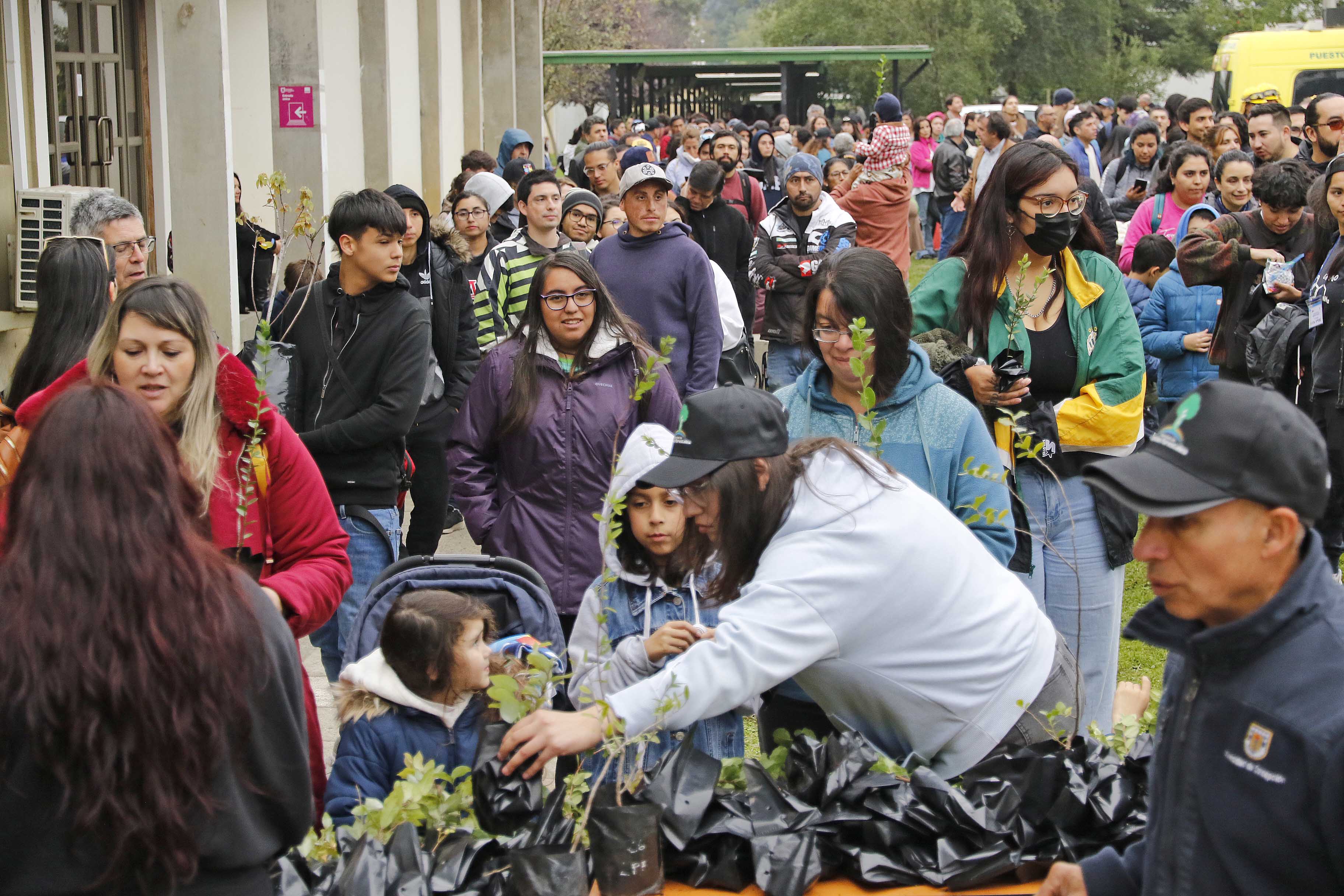 UdeC Forest Sciences has provided over 2,500 native tree plants to the community
