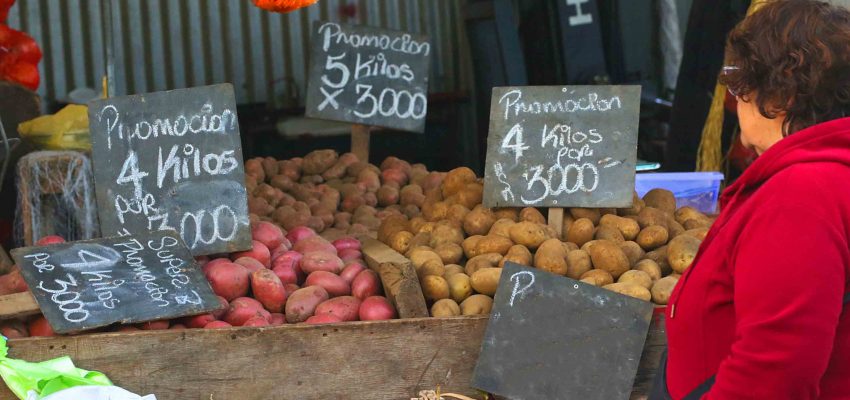 Está la papa! Bajó el precio de los tubérculos en La Vega y Lo Valledor –  En Cancha