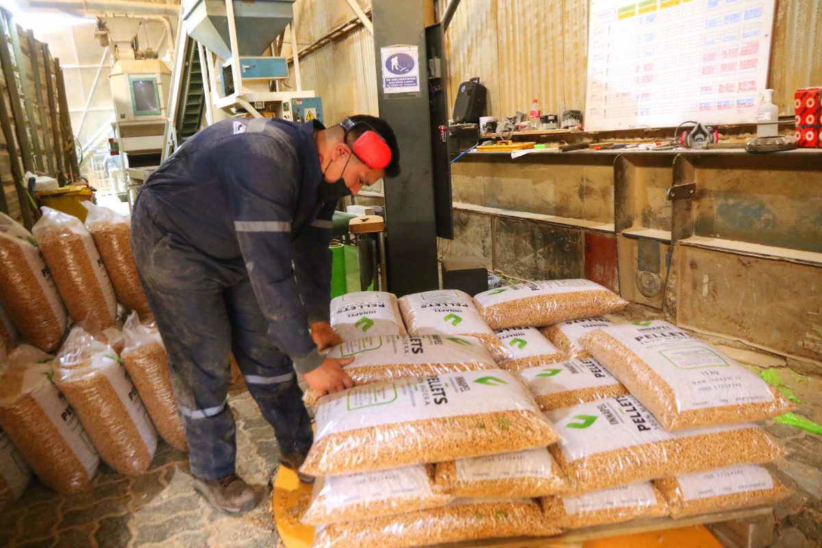 Productores De Pellet Aseguran Que Stock 2024 Es De 55 Mil Toneladas productores-de-pellet-aseguran-que-stock-2024-es-de-55-mil-toneladas