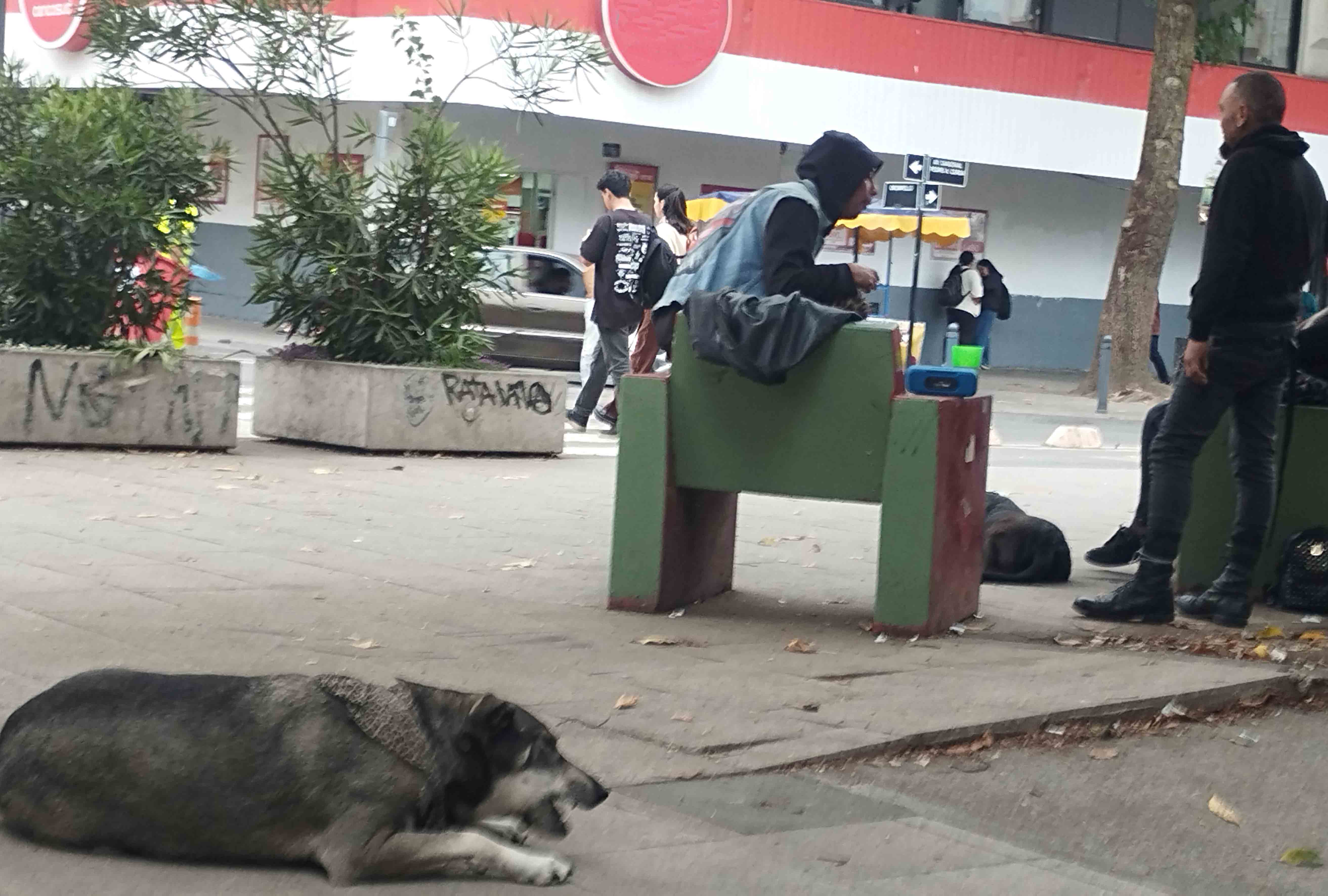 Municipios Y Vecinos Identifican Puntos De Abandono De Mascotas