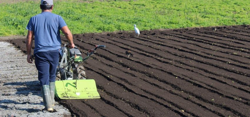 Minagri implementa estrategia nacional para enfrentar emergencias climáticas – Diario Concepción