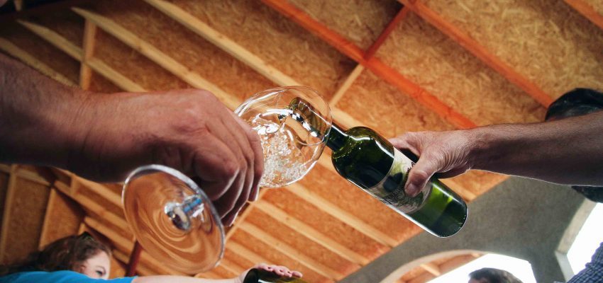 La situación vitivinícola del Biobío