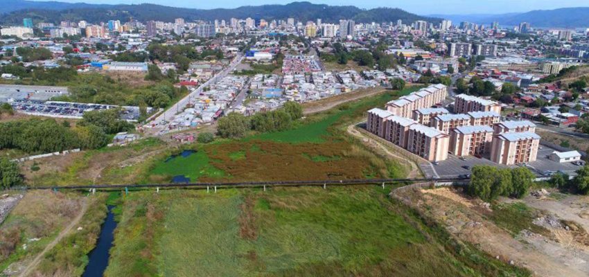 Inician acciones legales para frenar construcción en Humedal Paicaví