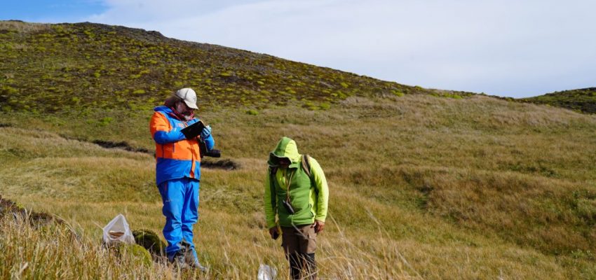 Científicos analizan la respuesta de la flora subantártica frente al cambio climático