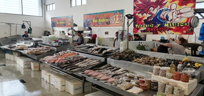 Comerciantes afinan detalles en Talcahuano ante alza en ventas por Semana Santa