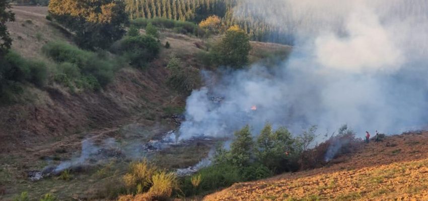 Conaf levanta restricción de uso del fuego en Biobío y Arauco tras lluvias