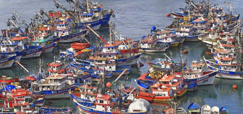 Artesanales e industriales difieren ante retiro de proyecto de nueva Ley de Pesca