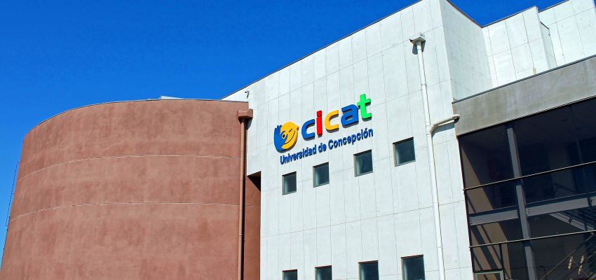 Escolares y docentes: Cicat invita a postular a programa formativo que une artes visuales y ciencia