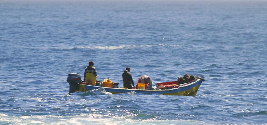 Alza de combustible tendrá efecto en la pesca: sector advierte impacto en costos de navegación