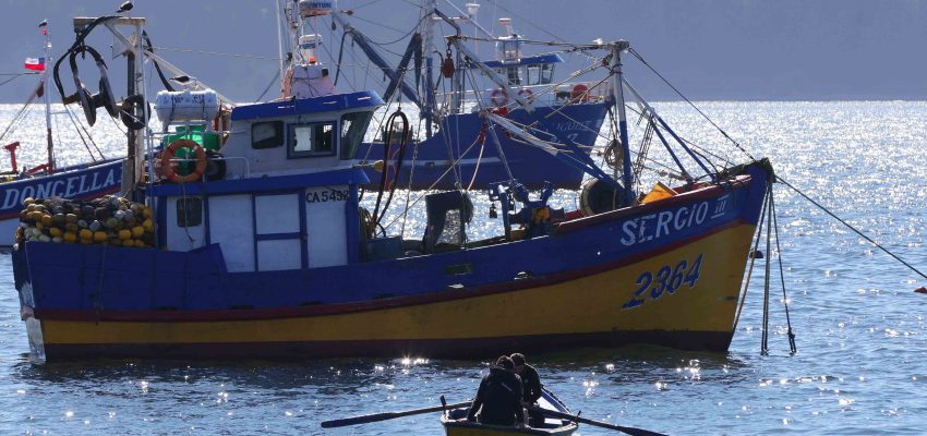 Subpesca revela que el 60% de las pesquerías se encuentran saludables