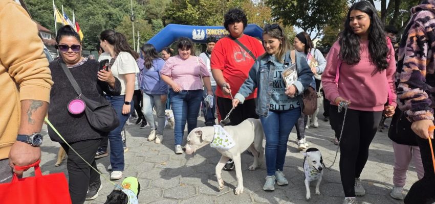 Miles de perros participaron de la caminata canina