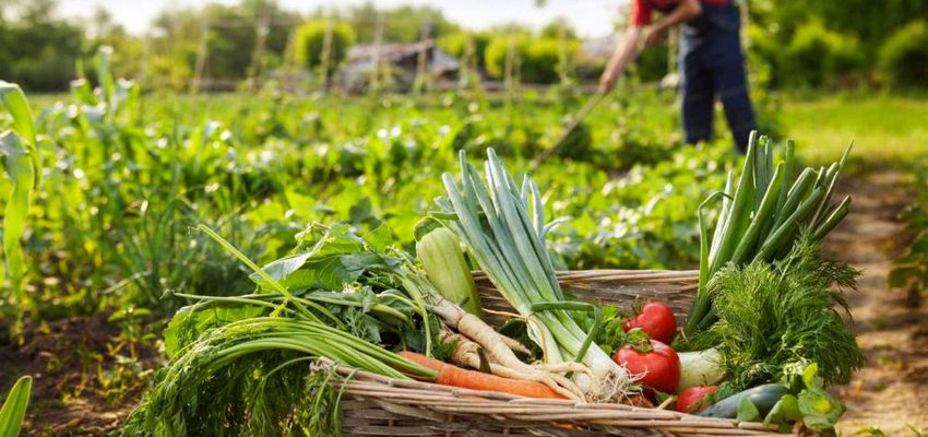 Actores clave abordan temas del agro regional