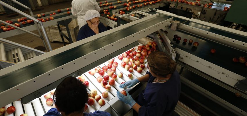 Exportaciones agrícolas a China operarán con certificación 100% electrónica