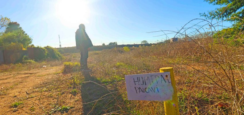 Aprueban construcción de 19 edificios en el Humedal Paicaví de Concepción