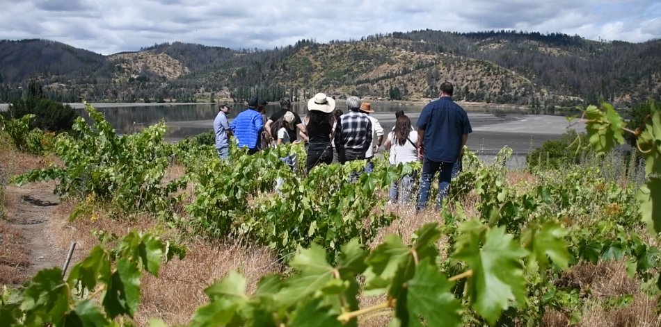 Vino y enoturismo del Valle del Bíobío conforman gobernanzas