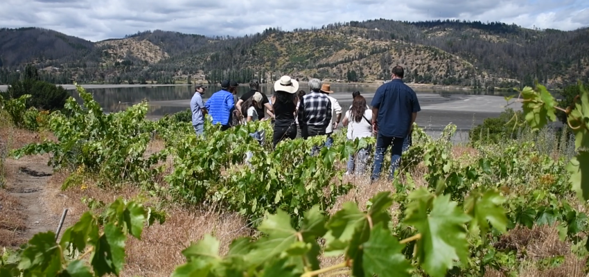 Con apoyo de Corfo Biobío: Vino y enoturismo del Valle del Bíobío conforman gobernanzas