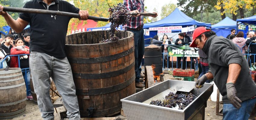 Más de 100 emprendedores serán parte de la Fiesta de la Vendimia Campesina de Río Claro en Yumbel