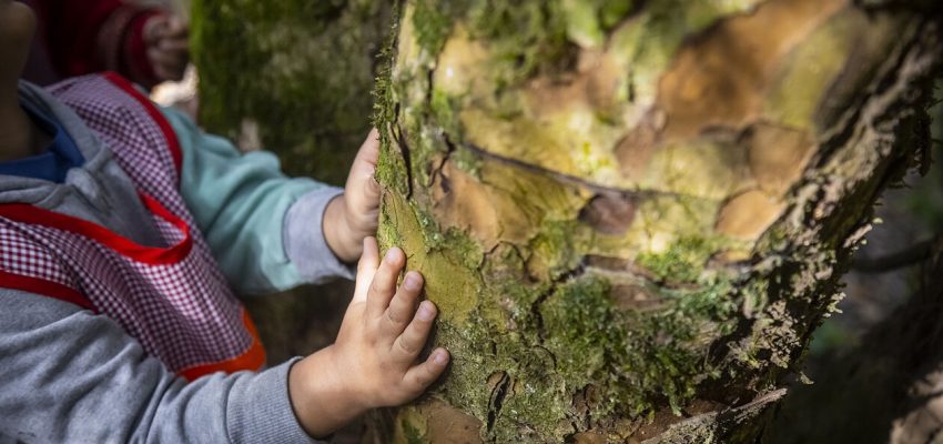 Día Mundial de la Salud 2026 releva el rol de la ciencia en la toma de decisiones sanitarias