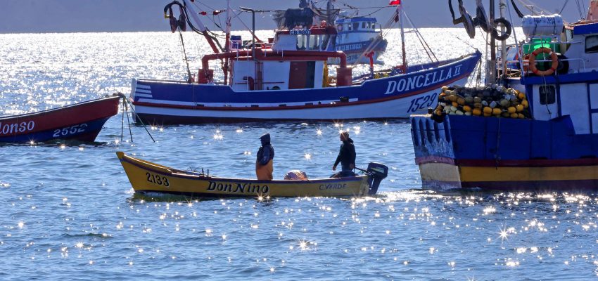 Municipalidad de Lebu y congresistas se suman a cuestionamientos sobre monto de bono para pesca artesanal