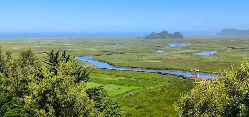 Investigación de la UdeC destaca el valor biocultural de los humedales y rol de las comunidades en su protección
