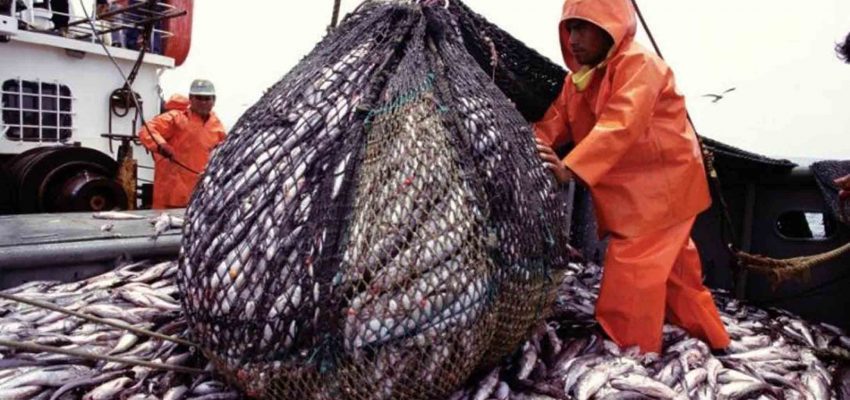 “No hay intención de reabrir la discusión sobre el fraccionamiento (pesquero)”: subsecretario de pesca