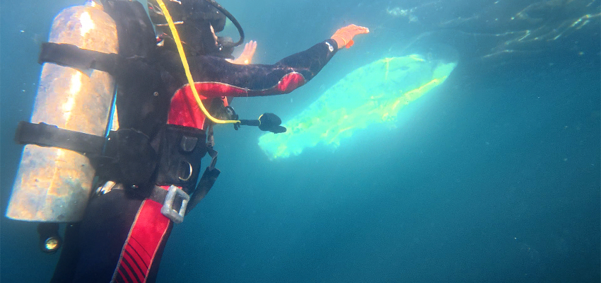 Rescate de una ballena en Caleta Chome: reflejo de una nueva forma de convivencia con los gigantes del mar