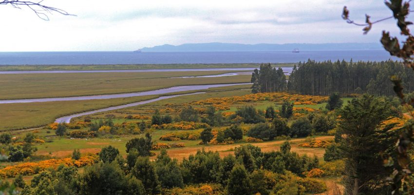 Municipio de Talcahuano responde a ASMAR por reclamación en humedal Rocuant-Andalién