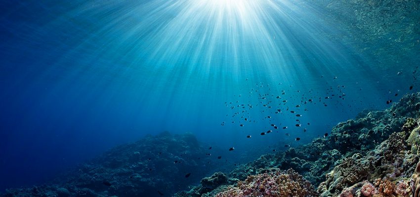 Brilliant Blue Challenge: jóvenes pueden impulsar la economía azul y sus habilidades del siglo XXI