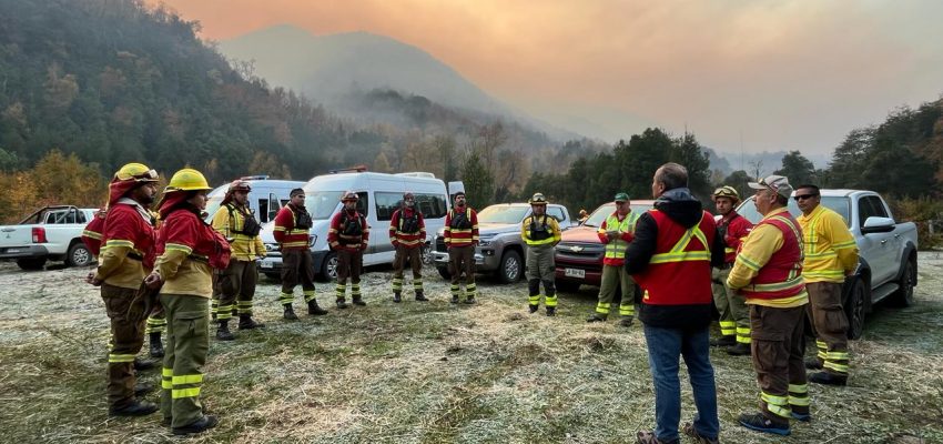 Compleja situación en Biobío: incendios forestales consumen más de 800 hectáreas en Antuco y Santa Bárbara