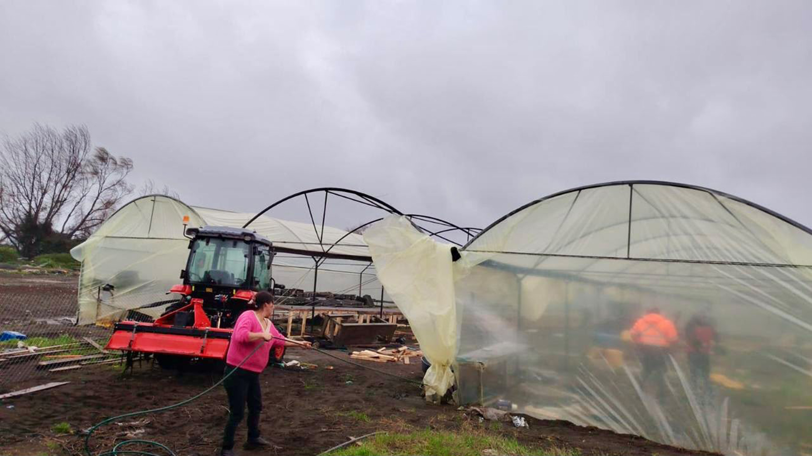 Lluvias en el Biobío devuelven la esperanza al agro local
