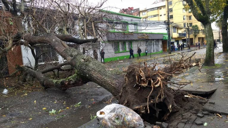 Nuevas alertas de trombas marinas reviven el trauma de 2019 en Talcahuano