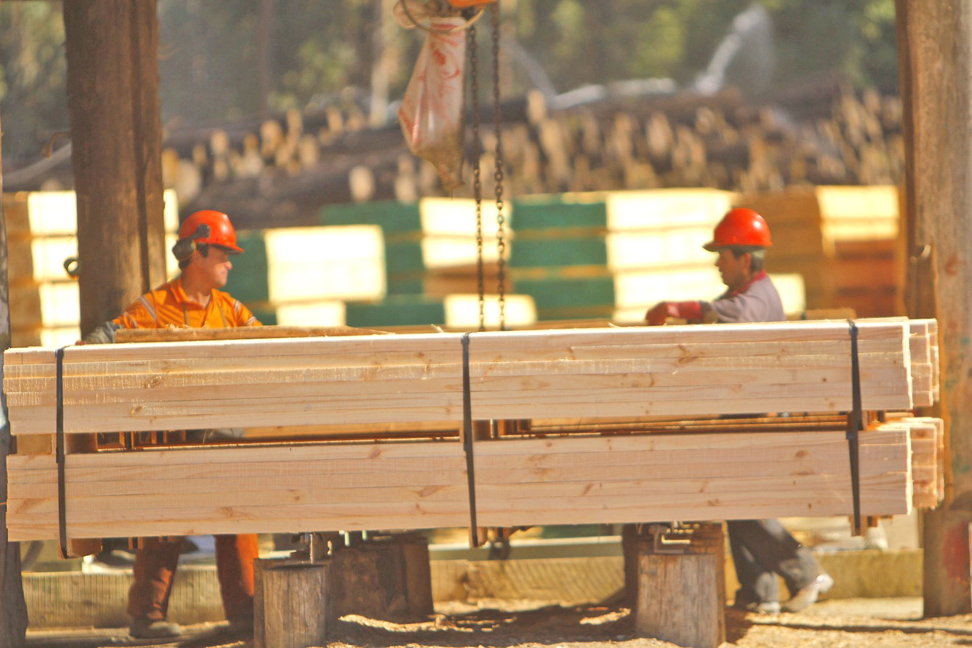 Gobierno lanza plan Modo Empleo con 50 mil millones para crear 50 mil puestos